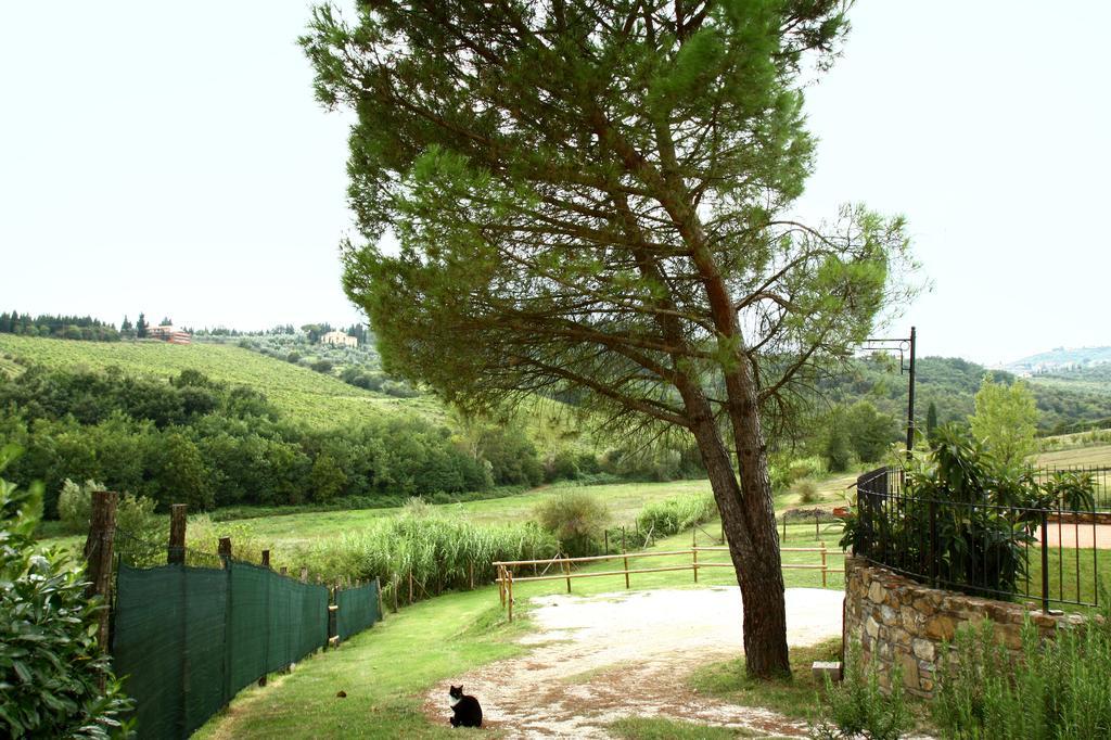 La Gufaia - Holiday House With Private Pool Near Florence Carmignano Exterior photo